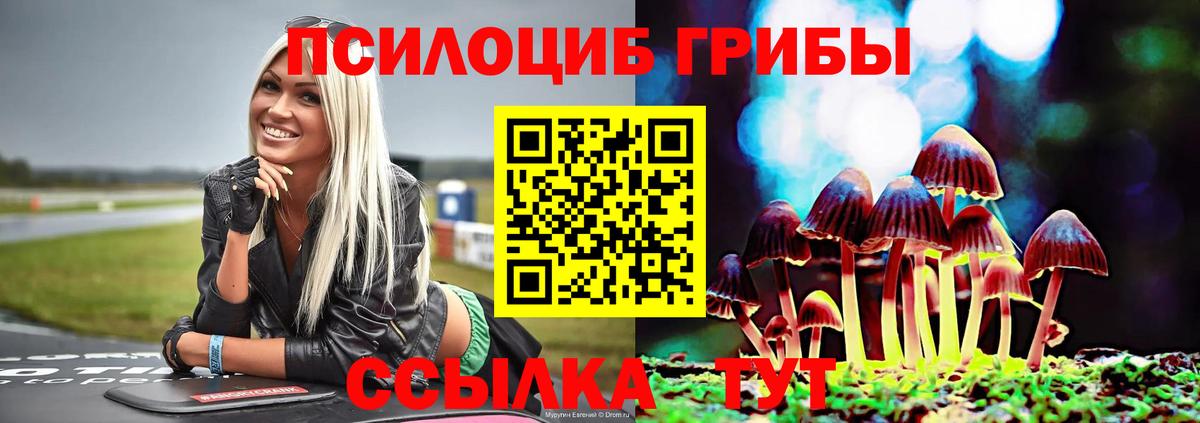 Псилоцибиновые грибы Psilocybine cubensis  Вход с VPN  Феодосия 